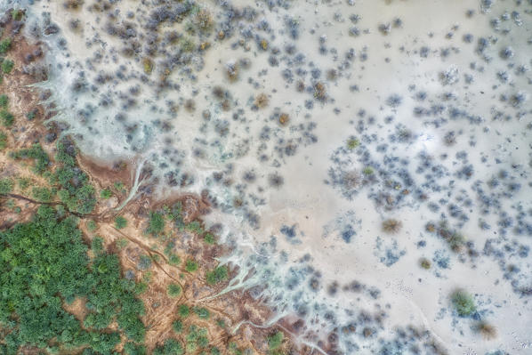 Aerial view of floded banks of lake Bogoria, where lesser and greater flamingos gather; rift valley, Kenya
