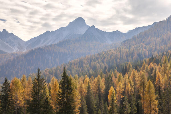 An autumn view of Cima Spe, Duranno - Preti group, Dolomites, Pieve di Cadore, Belluno province, Veneto, Italy.