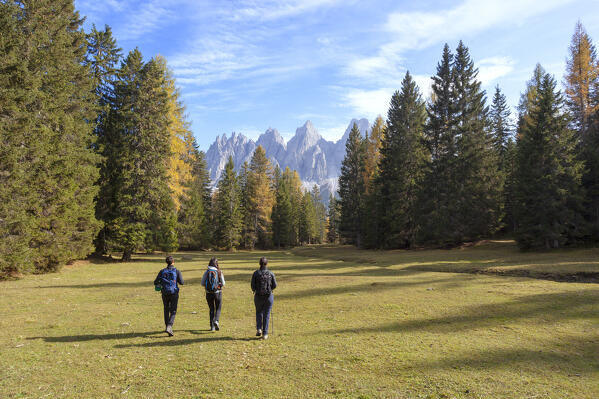 Three hikers on the pastures of Vedorcia Alm, Dolomites, Pieve di Cadore, Belluno province, Veneto, Italy.