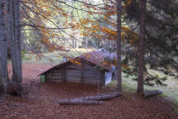 A little chalet in the woods of Talagona Valley, Dolomites, Domegge di Cadore, Belluno province, Veneto, Italy.