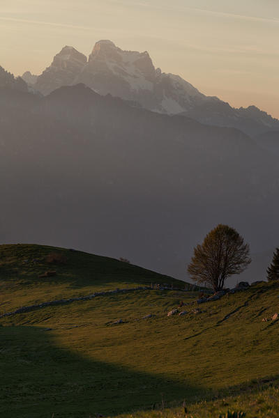 Casera Prese, Mezzomiglio, Cansiglio, Belluno Prealps, Belluno, Italy.