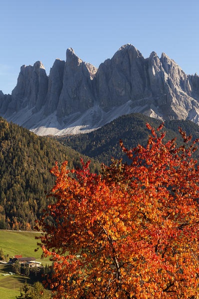 Odle group from S. Magdalena, Funes Valley, Dolomites, South Tyrol, Bolzano, Italy.