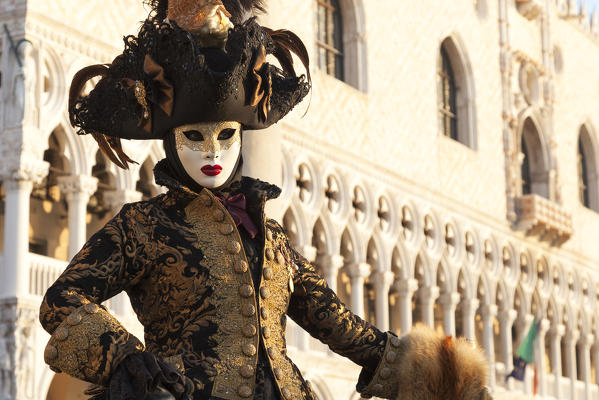 Typical mask of Carnival of Venice with Ducal Palace on background, Venice, Veneto, Italy