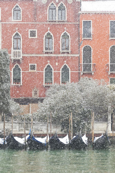 Some traditional venetian gondolas moored at Riva del Vin during a snowfall, Grand Canal, Venice, Veneto, Italy
