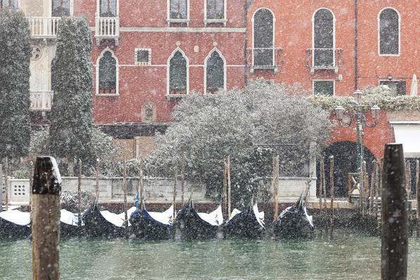 Some traditional venetian gondolas moored at Riva del Vin during a snowfall, Grand Canal, Venice, Veneto, Italy