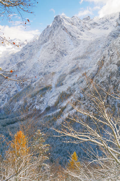Somadida reservation,natural park,Auronzo,Cadore,Marmarole,Dolomites,Alps,Veneto,Italy