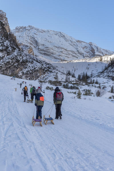 San Vigilio di Marebbe, Fanes, Dolomites, South Tyrol, Italy, Europe. Children are hiking with their sledges to Fanes