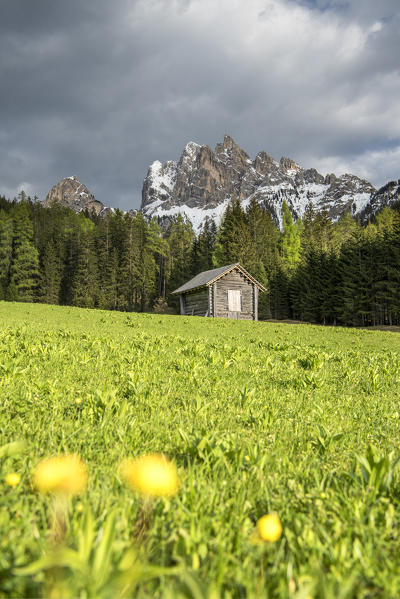 Braies / Prags, Dolomites, South Tyrol, Italy. The Picco di Vallandro / Dürrenstein