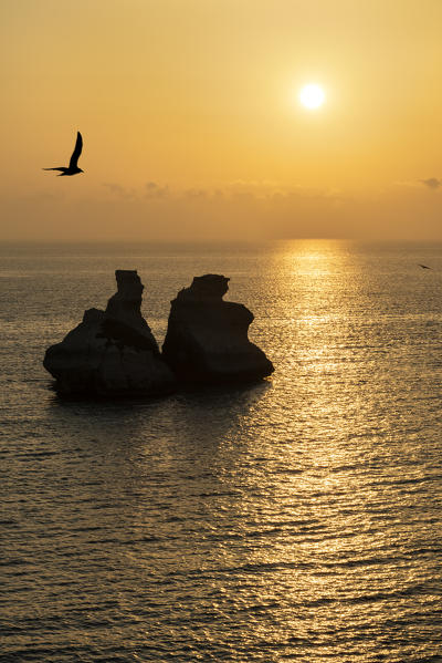 Torre dell'Orso, Melendugno, province of Lecce, Salento, Apulia, Italy, Europe. The Due Sorelle (Two Sisters) at sunrise