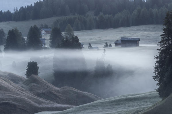 Alpe di Siusi/Seiser Alm, Dolomites, South Tyrol, Italy.