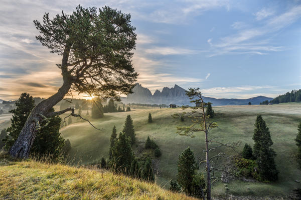 Alpe di Siusi/Seiser Alm, Dolomites, South Tyrol, Italy. Sunrise on the Alpe di Siusi/Seiser Alm