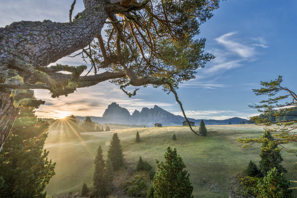 Alpe di Siusi/Seiser Alm, Dolomites, South Tyrol, Italy. Sunrise on the Alpe di Siusi/Seiser Alm