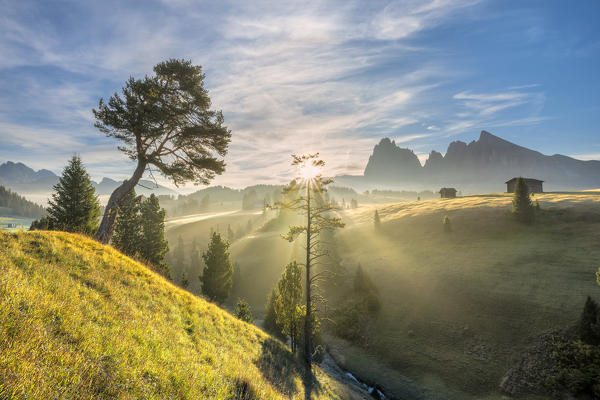 Alpe di Siusi/Seiser Alm, Dolomites, South Tyrol, Italy. Sunrise on the Alpe di Siusi/Seiser Alm