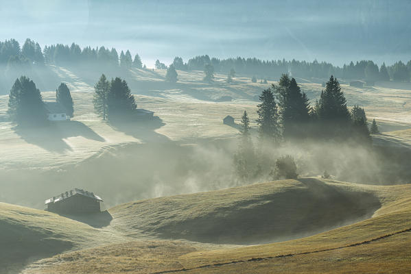 Alpe di Siusi/Seiser Alm, Dolomites, South Tyrol, Italy.