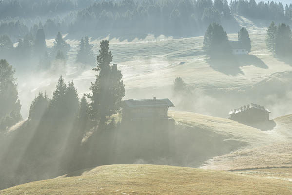 Alpe di Siusi/Seiser Alm, Dolomites, South Tyrol, Italy.