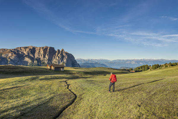 Alpe di Siusi/Seiser Alm, Dolomites, South Tyrol, Italy. Sunrise on the plateau of Bullaccia/Puflatsch. In the background the peaks of Sciliar/Schlern