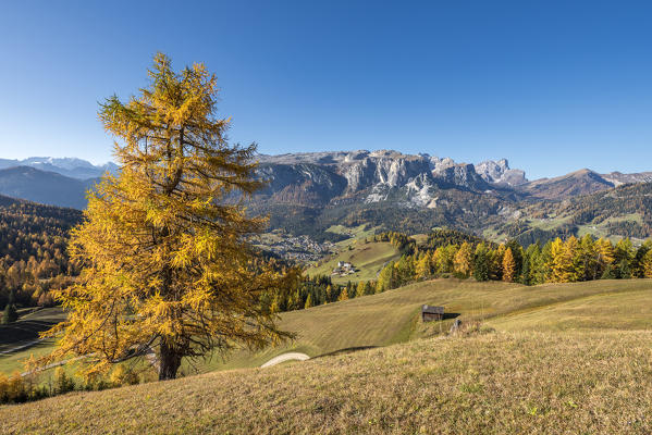 Alta Badia, Bolzano province, South Tyrol, Italy, Europe. Autumn on the Armentara meadows, above the mountains of the Marmolada, Puez and Odle