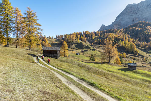 Alta Badia, Bolzano province, South Tyrol, Italy, Europe. Autumn on the Armentara meadows, above the mountains of the neuner and Zehner