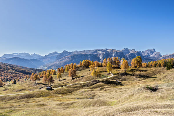 Alta Badia, Bolzano province, South Tyrol, Italy, Europe. Autumn on the Armentara meadows, above the moantains of the Marmolada, Puez and Odle