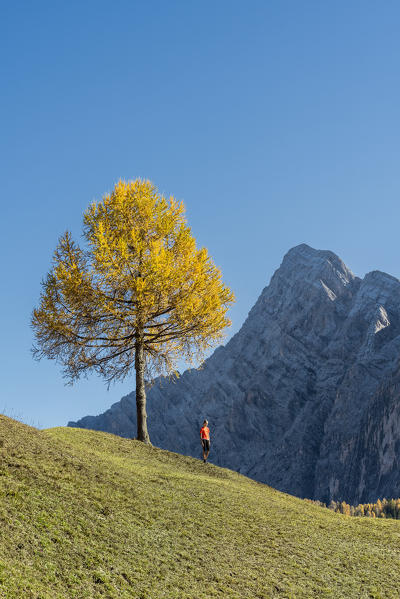 Alta Badia, Bolzano province, South Tyrol, Italy, Europe. Autumn on the Armentara meadows, above the moantain of the Neuner
