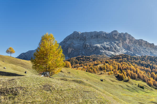 Alta Badia, Bolzano province, South Tyrol, Italy, Europe. Autumn on the Armentara meadows, above the moantains of the Zehner and Heiligkreuzkofel