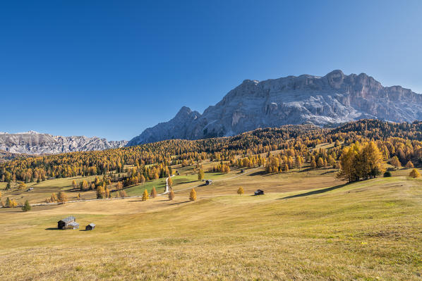 Alta Badia, Bolzano province, South Tyrol, Italy, Europe. Autumn on the Armentara meadows, above the moantains of the Neuner, Zehner and Heiligkreuzkofel