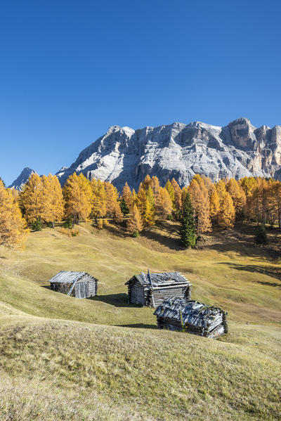 Alta Badia, Bolzano province, South Tyrol, Italy, Europe. Autumn on the Armentara meadows, above the mountains of the Neuner, Zehner and Heiligkreuzkofel