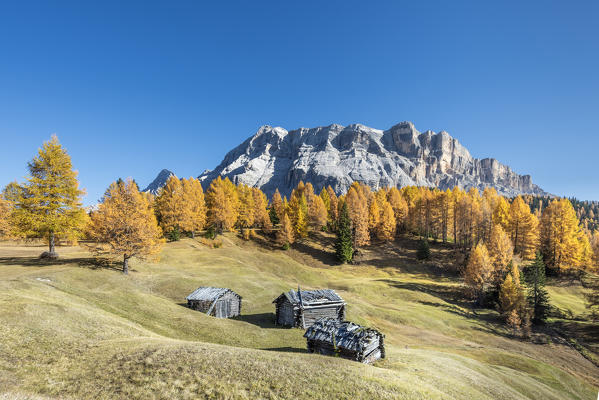 Alta Badia, Bolzano province, South Tyrol, Italy, Europe. Autumn on the Armentara meadows, above the mountains of the Neuner, Zehner and Heiligkreuzkofel