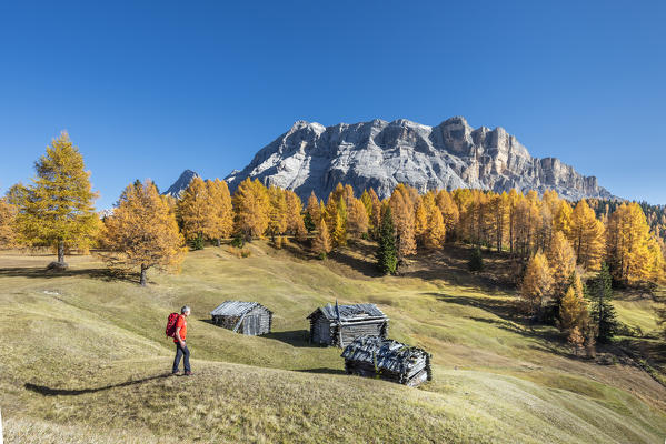 Alta Badia, Bolzano province, South Tyrol, Italy, Europe. Autumn on the Armentara meadows, above the mountains of the Neuner, Zehner and Heiligkreuzkofel