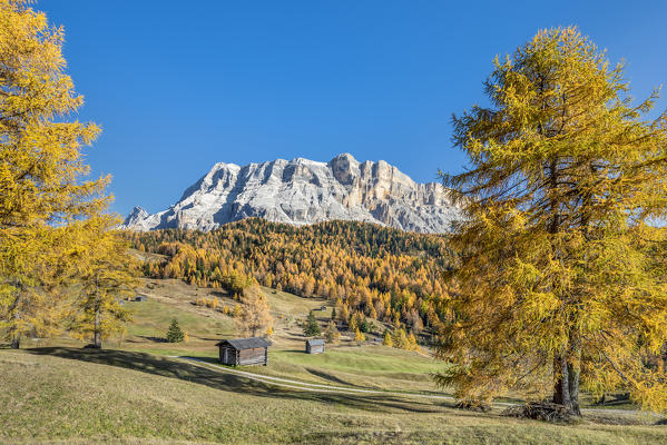 Alta Badia, Bolzano province, South Tyrol, Italy, Europe. Autumn on the Armentara meadows, above the mountains of the Neuner, Zehner and Heiligkreuzkofel
