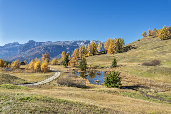 Alta Badia, Bolzano province, South Tyrol, Italy, Europe. Autumn on the Armentara meadows, above the moantains of the Puez