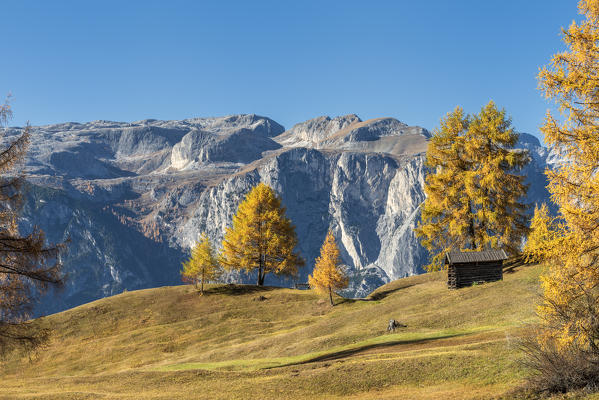 Alta Badia, Bolzano province, South Tyrol, Italy, Europe. Autumn on the Armentara meadows, above the moantains of the Puez
