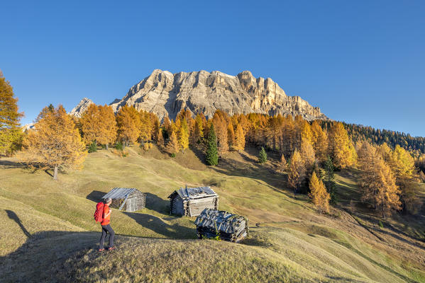 Alta Badia, Bolzano province, South Tyrol, Italy, Europe. Autumn on the Armentara meadows, above the mountains of the Neuner, Zehner and Heiligkreuzkofel