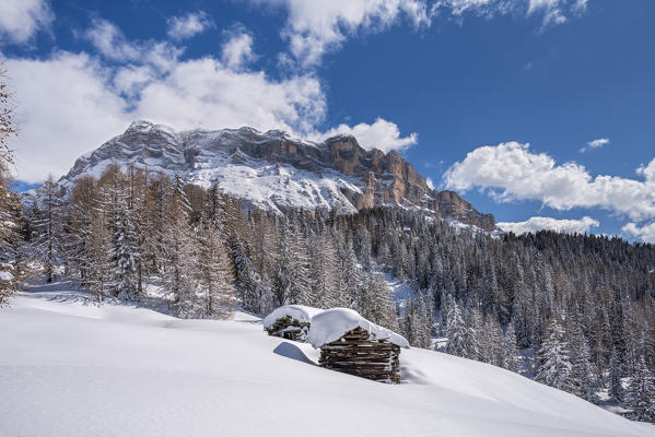 Alta Badia, Bolzano province, South Tyrol, Italy, Europe. Winter on the Armentara meadows, above the mountains of the Zehner and Heiligkreuzkofel