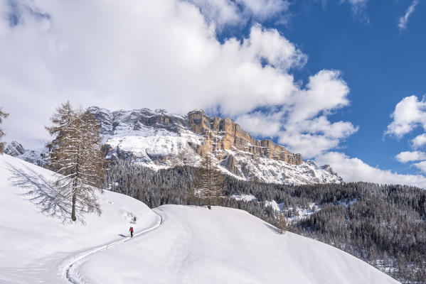 Alta Badia, Bolzano province, South Tyrol, Italy, Europe. A hiker with snowshoes on the Armentara meadows, above the mountains of the Zehner and Heiligkreuzkofel