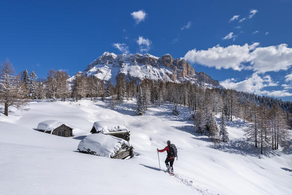 Alta Badia, Bolzano province, South Tyrol, Italy, Europe. A hiker with snowshoes on the Armentara meadows, above the mountains of the Zehner and Heiligkreuzkofel