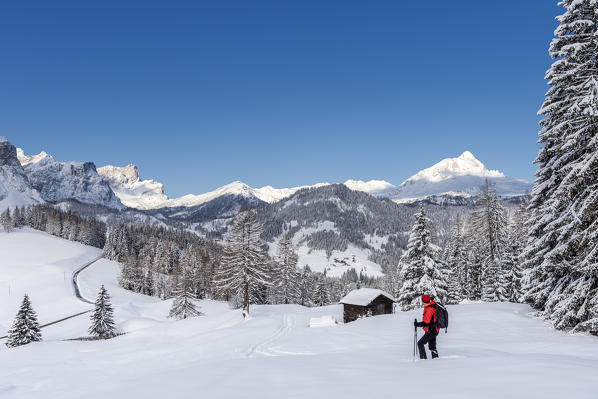 Alta Badia, Bolzano province, South Tyrol, Italy, Europe. A hiker with snowshoes on the Armentara meadows, above the mountains of the Odle and Sas de Putia