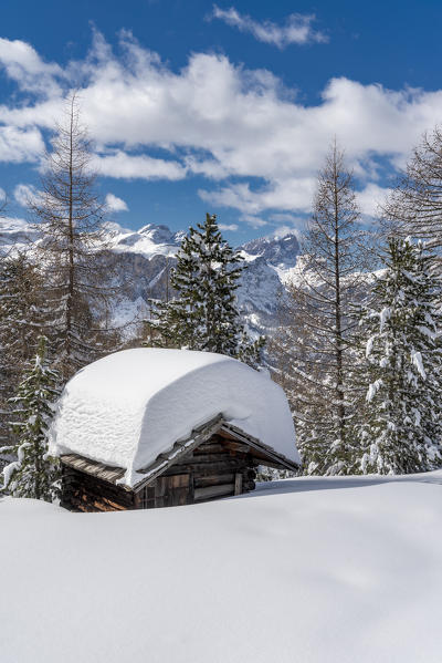 Alta Badia, Bolzano province, South Tyrol, Italy, Europe. Winter on the Armentara meadows