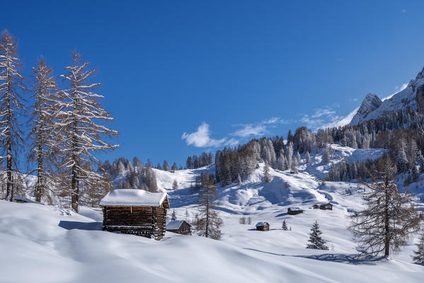Alta Badia, Bolzano province, South Tyrol, Italy, Europe. Winter on the Armentara meadows
