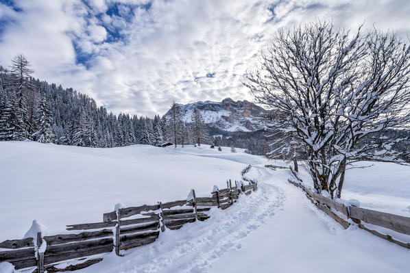 Alta Badia, Bolzano province, South Tyrol, Italy, Europe. Winter on the Armentara meadows, above the mountains of the Zehner and Heiligkreuzkofel