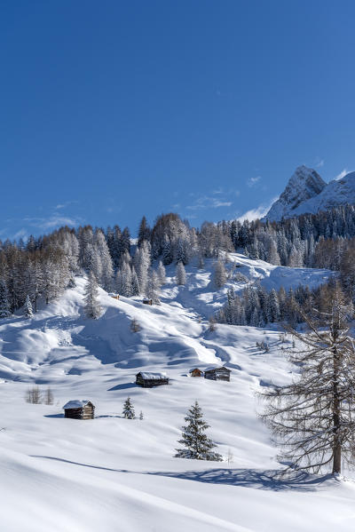 Alta Badia, Bolzano province, South Tyrol, Italy, Europe. Winter on the Armentara meadows
