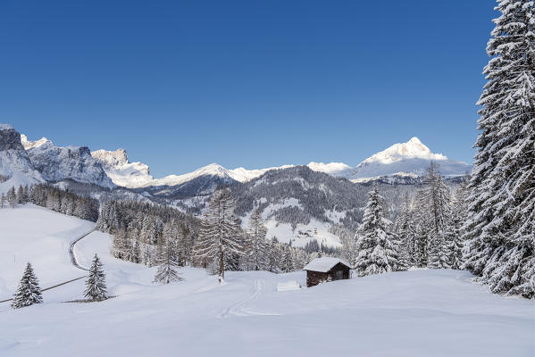 Alta Badia, Bolzano province, South Tyrol, Italy, Europe. Winter on the Armentara meadows, above the mountains of the Odle and Sas de Putia