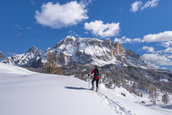 Alta Badia, Bolzano province, South Tyrol, Italy, Europe. A hiker with snowshoes on the Armentara meadows, above the mountains of the Neuner, Zehner and Heiligkreuzkofel