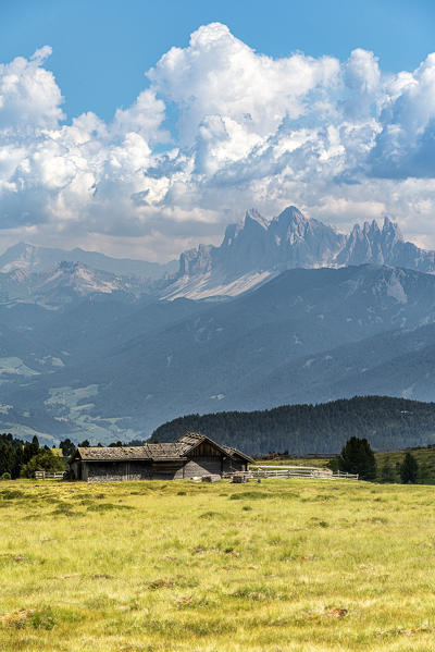 Villandro / Villanders, Bolzano province, South Tyrol, Italy. Alpine hut on the Villandro Alp with the Odle peaks in the background