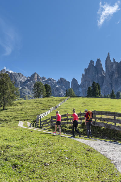 Tiers / Tires, Tires Valley, province of Bolzano, Dolomites, South Tyrol, Italy. Hikers on the hiking trail to the Haniger mountain hut. In the background the Vaiolet Towers (MR)