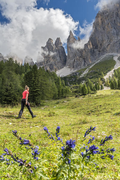 Tiers / Tires, Tires Valley, province of Bolzano, Dolomites, South Tyrol, Italy. A girl walks in front of the Vaiolet Towers
