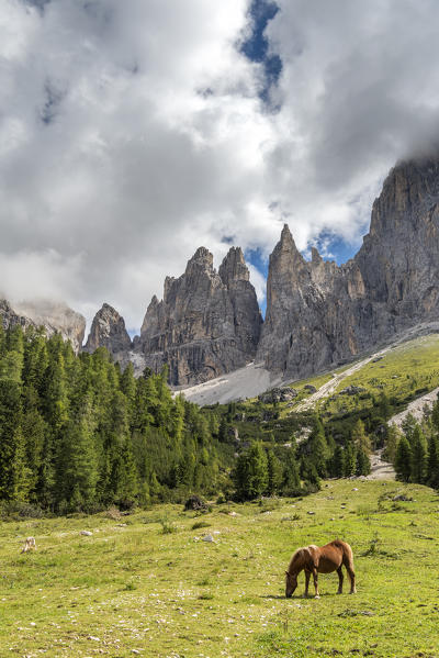 Tiers / Tires, Tires Valley, province of Bolzano, Dolomites, South Tyrol, Italy. The Vaiolet Towers