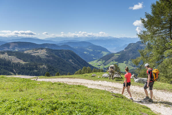 Tiers / Tires, Tires Valley, province of Bolzano, Dolomites, South Tyrol, Italy. Hikers on the hiking trail to the Haniger mountain hut.