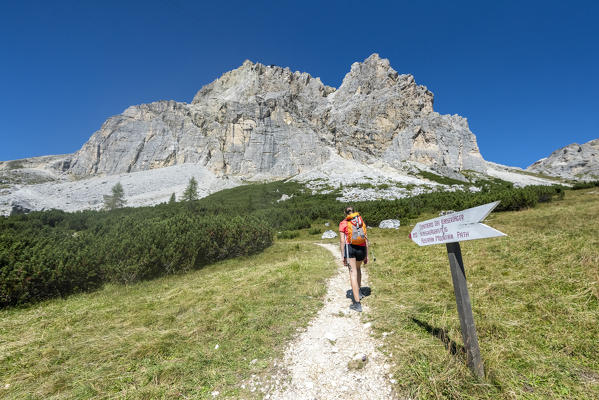 Falzarego Pass, Dolomites, province of Belluno, Veneto, Italy. Mountaineers approaching the via ferrata 