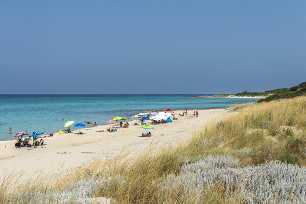 Carovigno, Brindisi province, Apulia, Italy. The beach in the Nature reserve of Torre Guaceto is located on the Adriatic coast